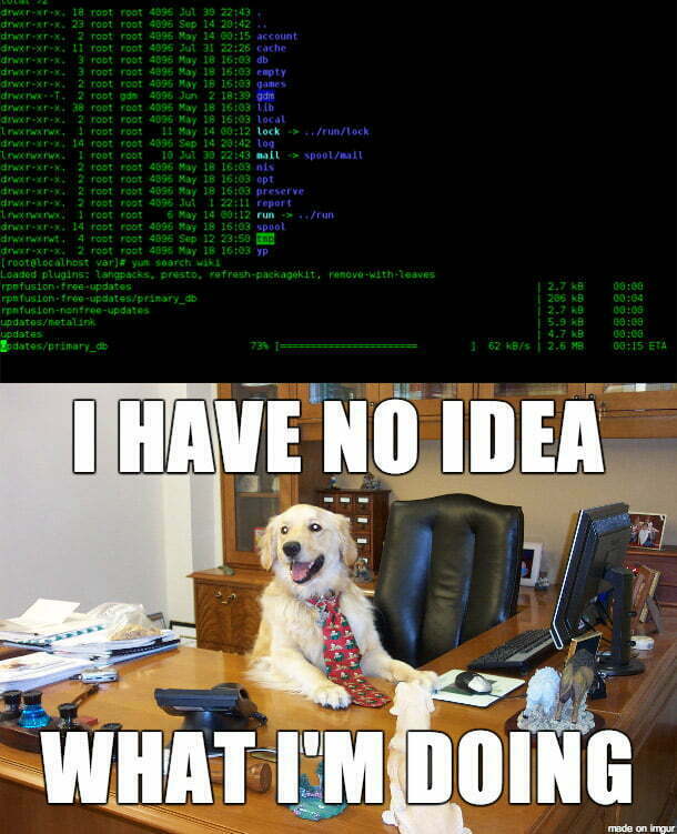 dog meme with code