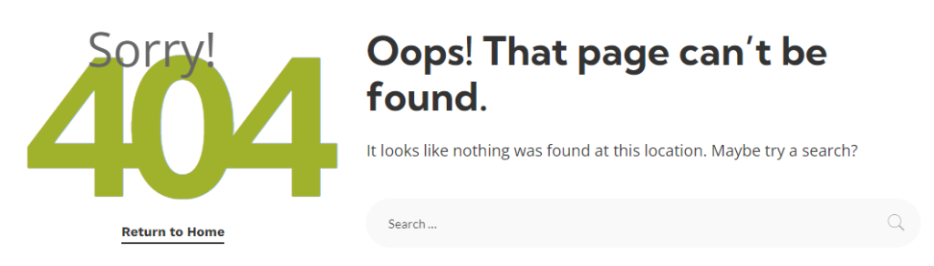 404 page WordPress