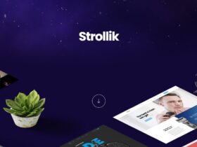 Strollik theme header